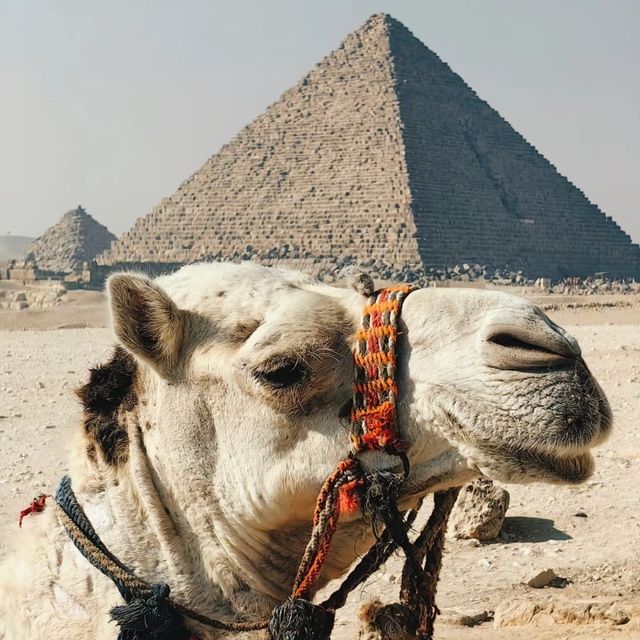 孟卡拉金字塔的冷热知识 孟卡拉金字塔的冷热知识