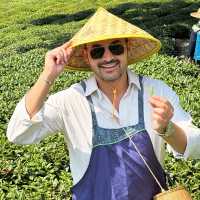 Hangzhou Tea Plantation