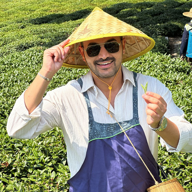 Hangzhou Tea Plantation