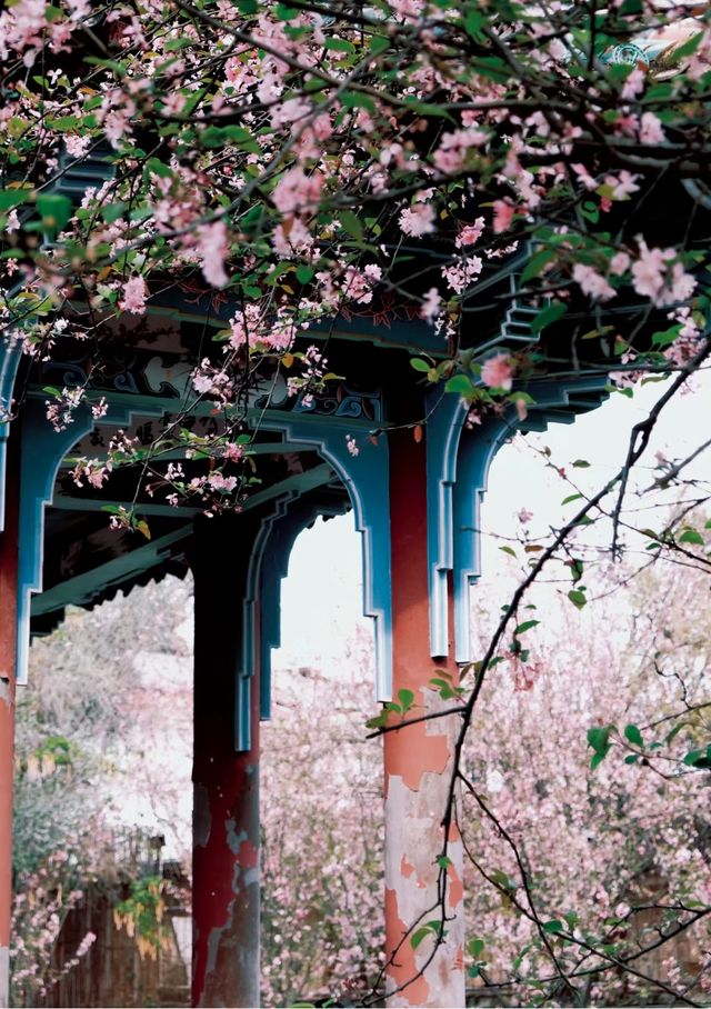 星辰之下的秘密花園……