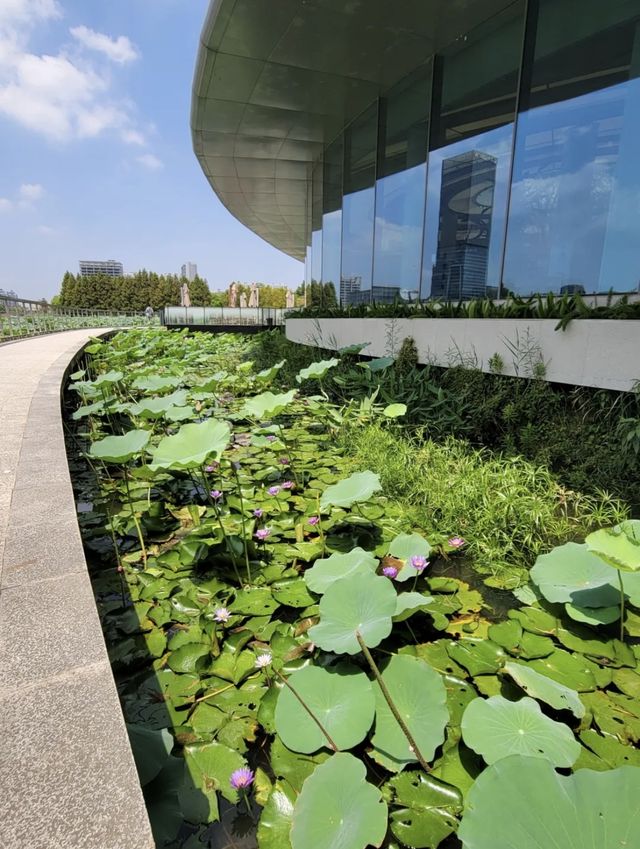 小眾景點遠香湖，建築藝術文藝滿滿