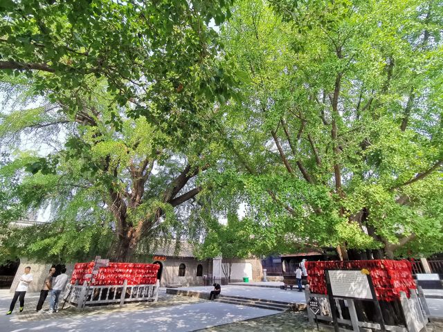 報恩禪寺