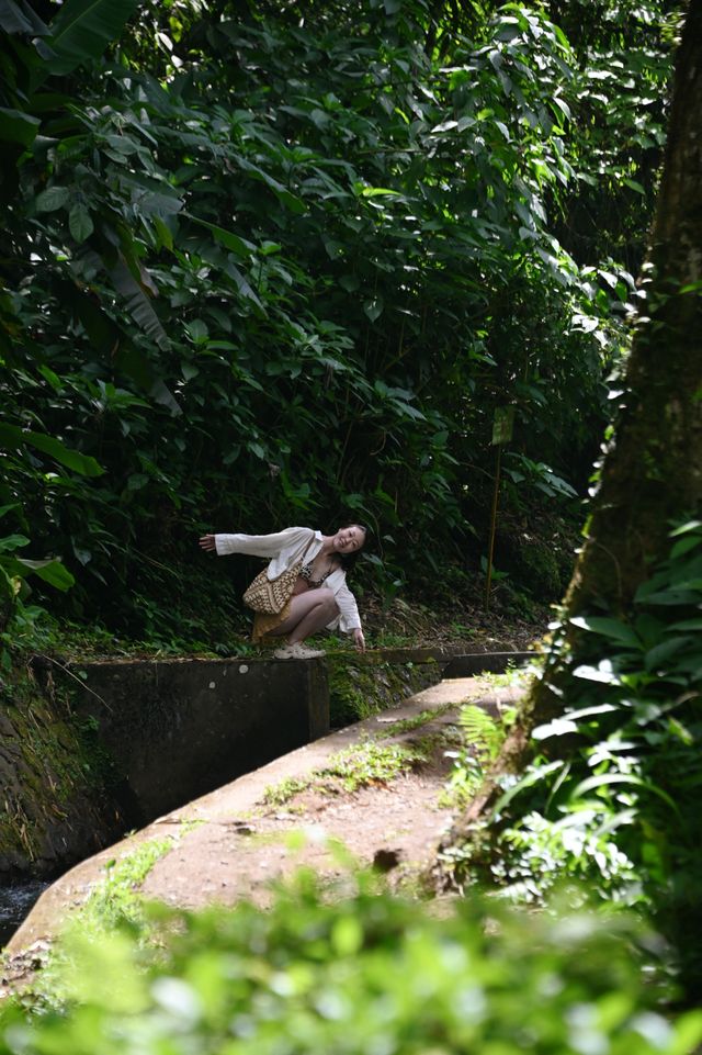 去巴厘岛一定不能錯過烏布的 超美瀑布｜攻略