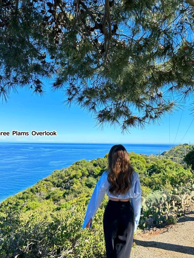 Catalina island is LA is Mesmerizing❤️🥰✨