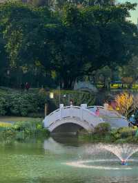 呢度就係四川現實版嘅莫奈花園。