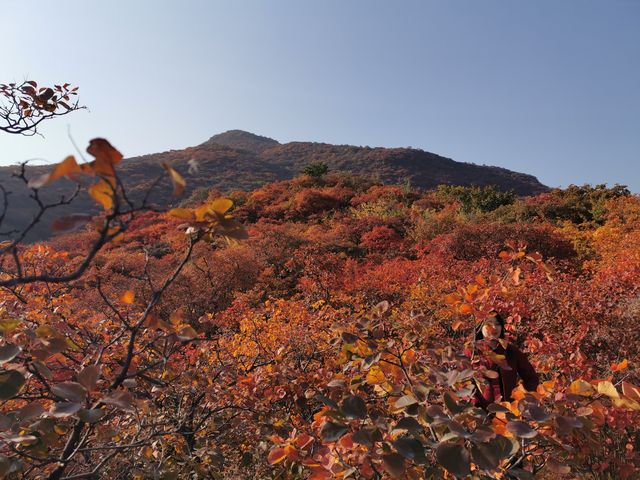 坡峰嶺。