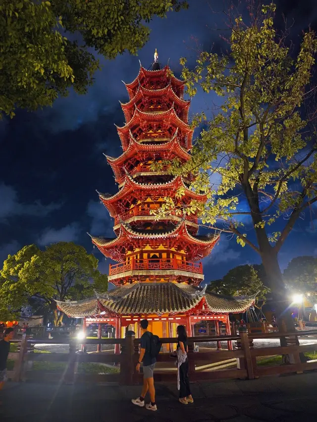 I accidentally wandered into Longhua Temple at night and was caught by a cat.