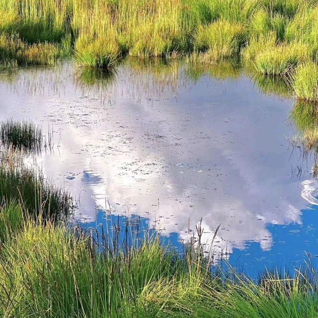 高原秘境四川花湖景區：自然絢爛圖卷與珍稀鳥類的天堂