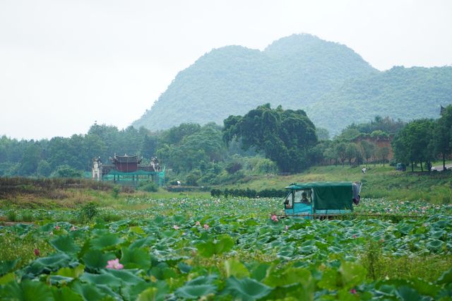 富川。 富川。