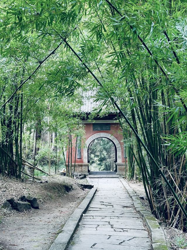中國奇譚中的譚貓廟終於見到了。