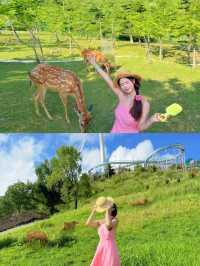 喺湖北搵到咗20°C嘅夏天「湖北小瑞士」。
