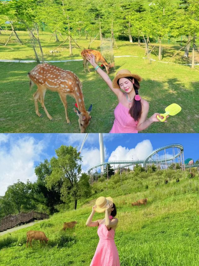 喺湖北搵到咗20°C嘅夏天「湖北小瑞士」。