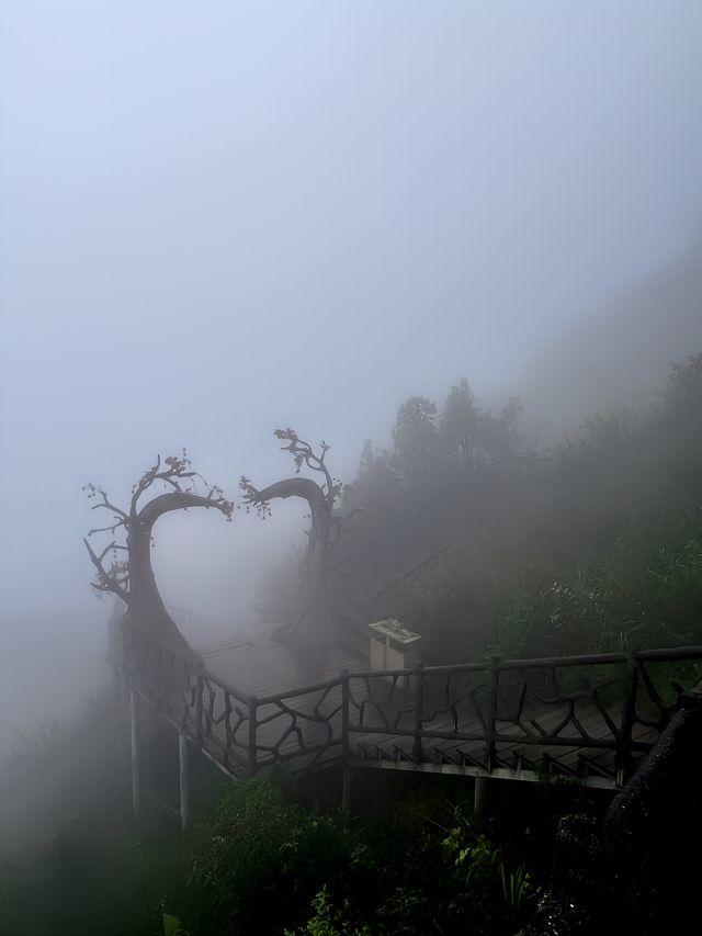 在上班和上進之間！我選擇上山。