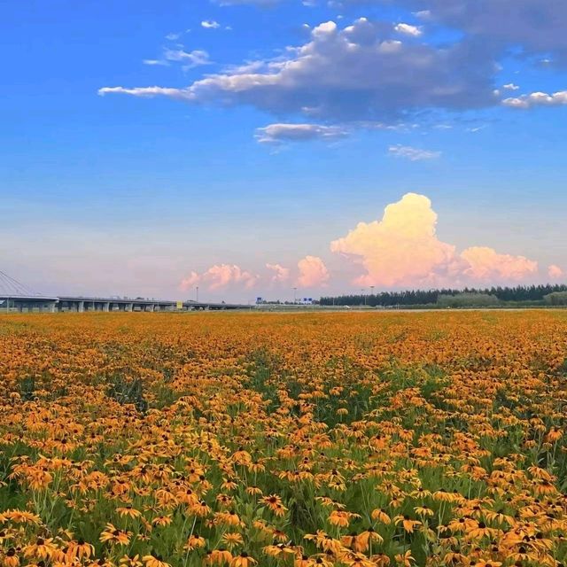 【草原與沙漠的交織】通遼：內蒙古的旅遊珍珠