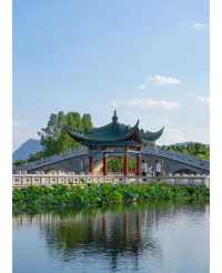 雲南昆明杏林大觀園丨體驗一次康養之旅。