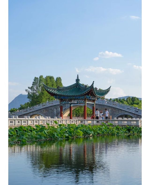 雲南昆明杏林大觀園丨體驗一次康養之旅。