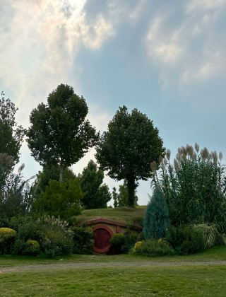 Not New Zealand, but Luoyang!!!