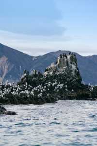 堪察加10小時硬核出海北太平洋的風，凜冽又溫柔。