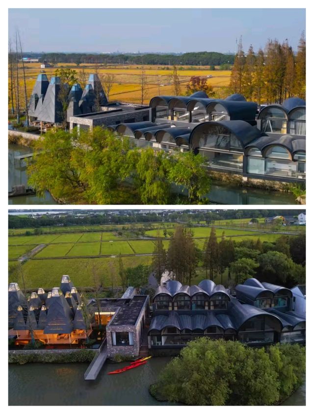 蘇州旅行|自駕1小時，住進絕美稻田水杉居。