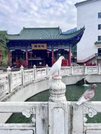 六祖寺。。