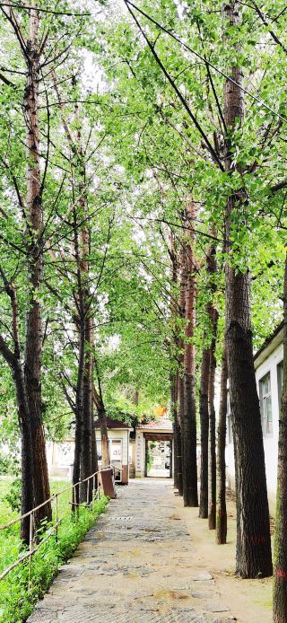 Mo Yan's Former Residence in Gaomi