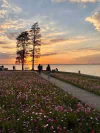 上海自駕1小時小眾旅遊地|定山湖大花海。