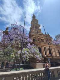 Experience the Purple Romance of Jacaranda Season in Sydney