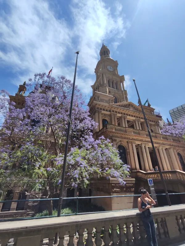 Experience the Purple Romance of Jacaranda Season in Sydney