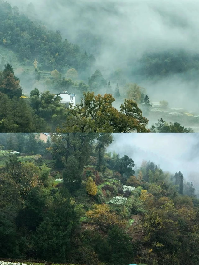 安徽海拔最高古村，一年276天是雲海。。