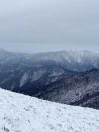西安秦嶺東梁|雪後的東梁，如她的名字一樣別緻。