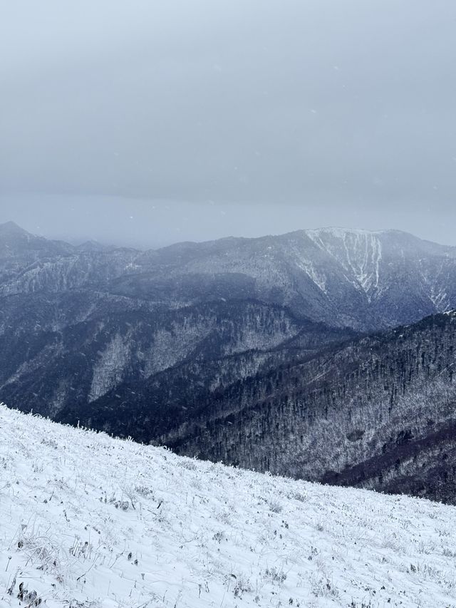 西安秦嶺東梁|雪後的東梁，如她的名字一樣別緻。