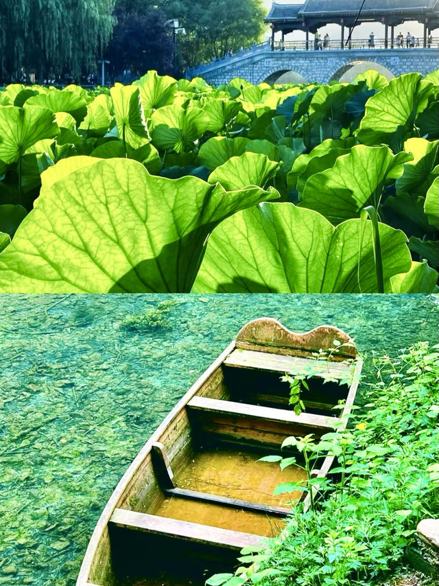 你不知道這裡真的好看水清晰。