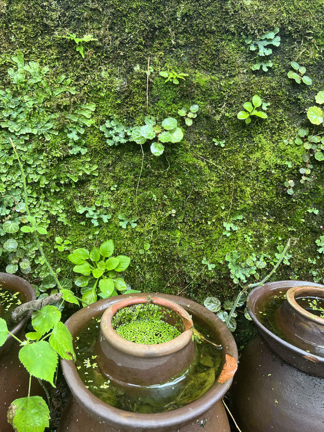 重慶周邊．半日．小眾博物館。
