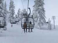 Skiing at Lake Tahoe: Everything You Need to Know