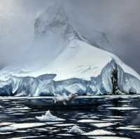 冷酷仙境,極地孤行