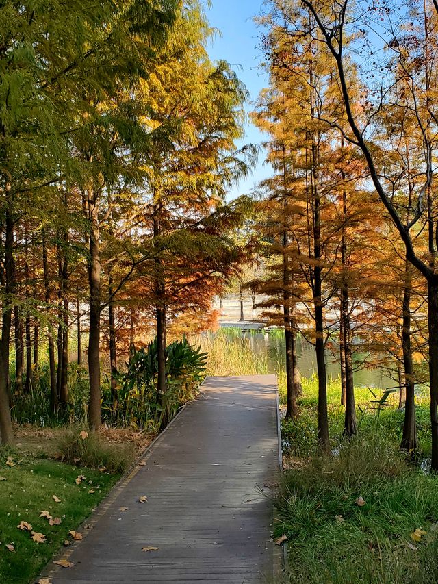 閔行文化公園。