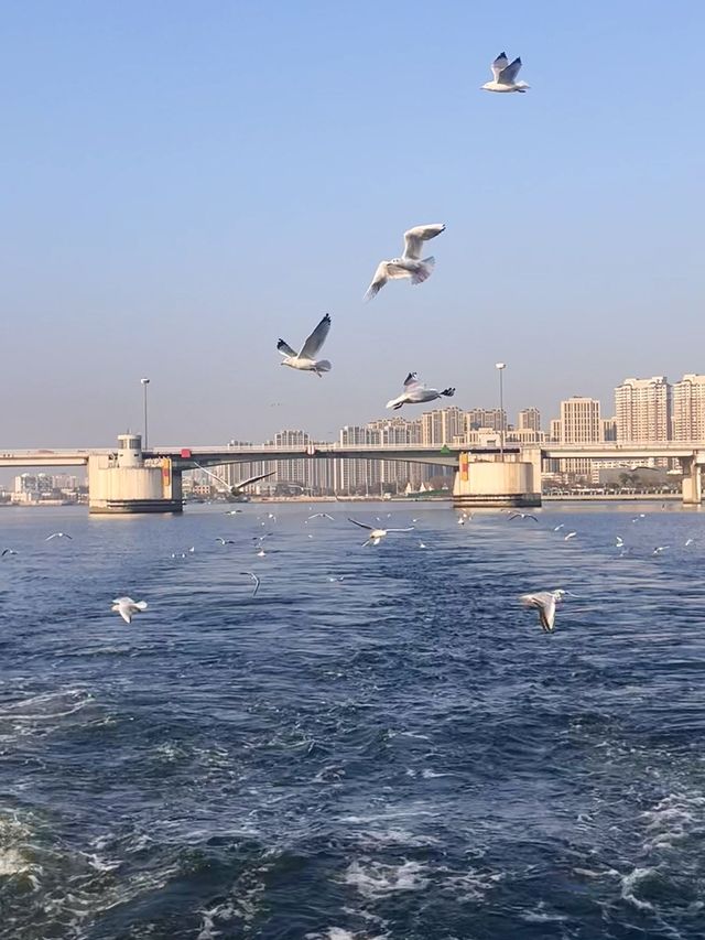 天津2日遊必打卡景點 玩轉不迷路。