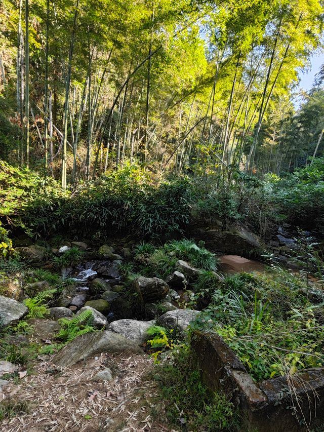 《神龍潭瀑布：探秘自然奇境，暢享山水逸趣之旅》。