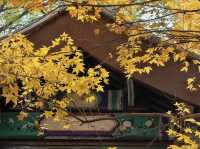 北京·白瀑寺。