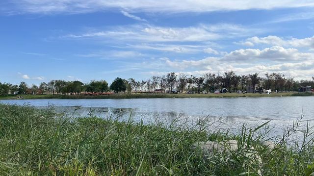遊上海：濱江森林公園二期。