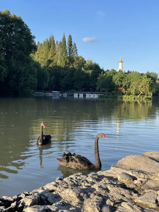 Winter in Yangzhou: A Super Detailed Travel Guide is Here!