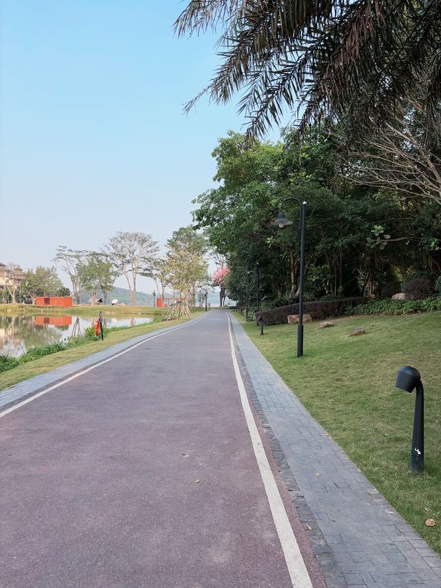 不在奈良！在佛山！無濾鏡！仙境般的莫奈花園。