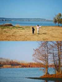 層林盡染，這片小眾紅杉林太值得