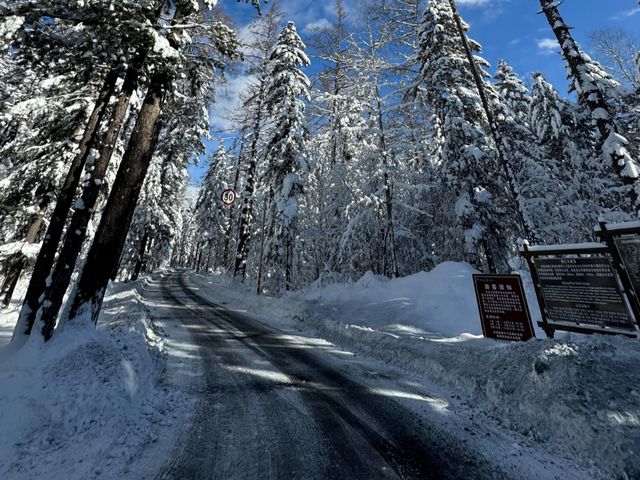 長白山旅遊攻略