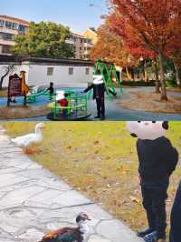 弇山園