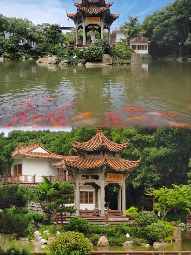 南昌 | 金秋平價樂遊攻略