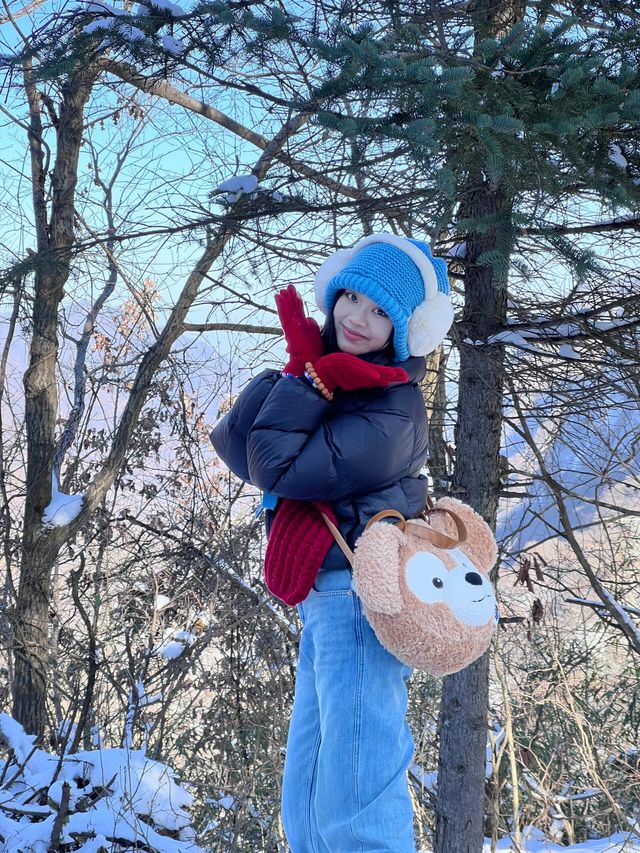 屁股坐爛去看雪