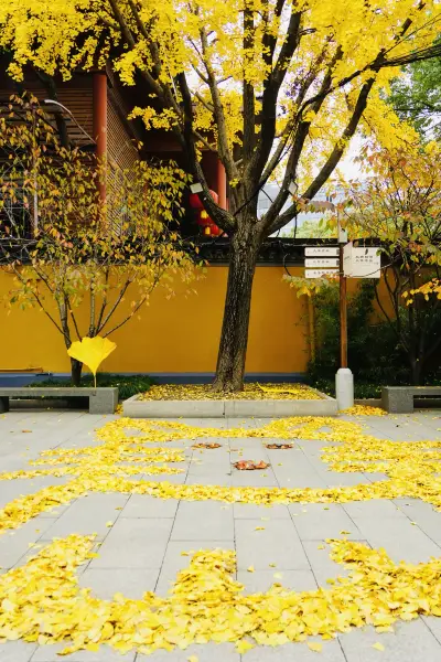 最新】竜華寺 - チケット、営業時間、口コミ、写真 [2025年] Trip.com