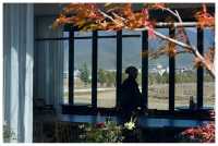 誰懂！？去有風的地方感受慢生活