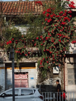 Dongguan Old Street Memories | Slow Down and Enjoy Life